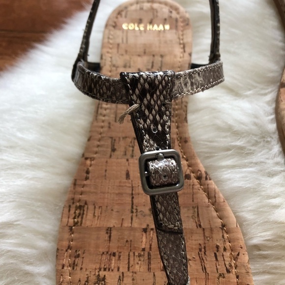 Cole Haan Britt Cork Snake Leather Sandal Roccia 7 - Picture 2 of 8